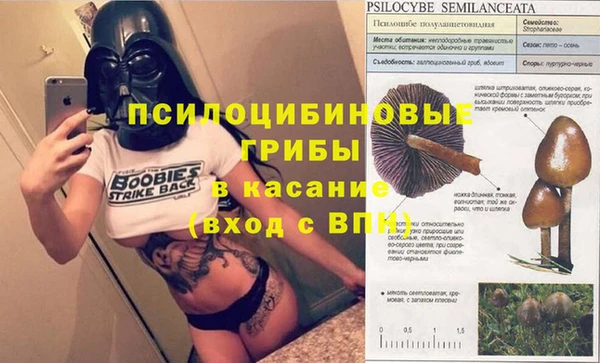 mix Алексин